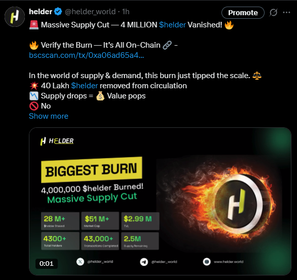 helder 4M Token Burn
