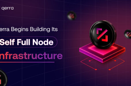 blockchain self node