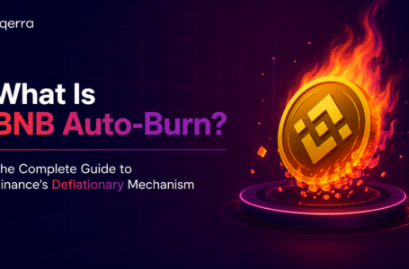 What Is BNB Auto-Burn