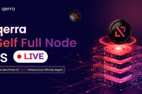 qerra self node is live